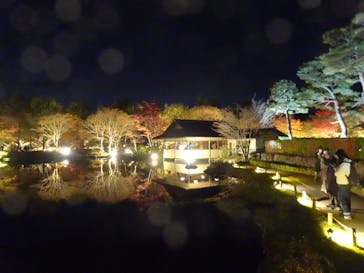 国営昭和記念公園 秋の夜散歩に投稿された画像（2022/11/22）