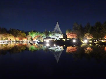 国営昭和記念公園 秋の夜散歩に投稿された画像（2022/11/22）