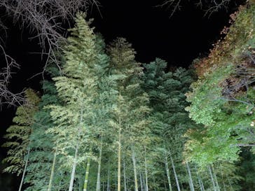 国営昭和記念公園 秋の夜散歩に投稿された画像（2022/11/22）