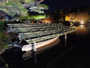 国営昭和記念公園 秋の夜散歩に投稿された画像（2022/11/22）