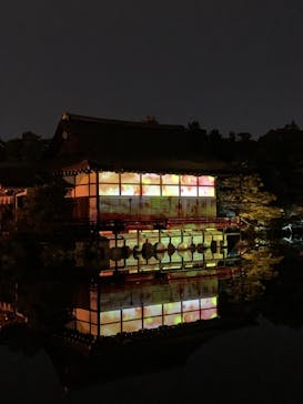 NAKEDヨルモウデ2022平安神宮に投稿された画像（2022/11/22）