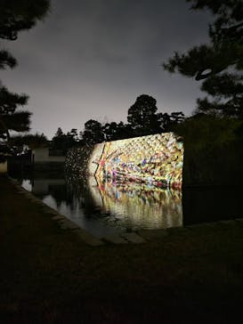 NAKED FLOWERS 2022 秋 世界遺産・二条城に投稿された画像（2022/11/22）