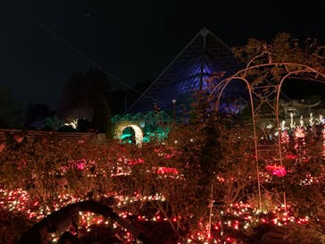 大阪府立花の文化園に投稿された画像（2022/11/22）