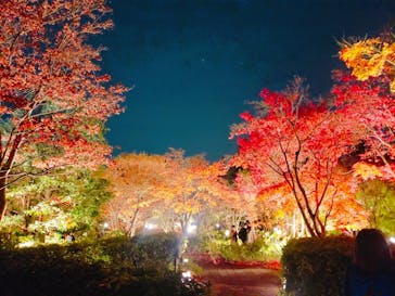 国営昭和記念公園 秋の夜散歩に投稿された画像（2022/11/22）