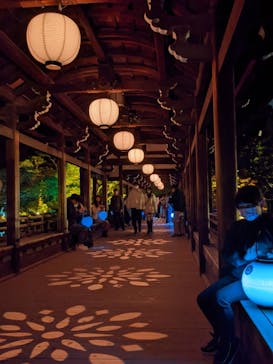 NAKEDヨルモウデ2022平安神宮に投稿された画像（2022/11/22）