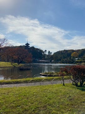 三溪園に投稿された画像（2022/11/22）