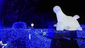 さがみ湖MORI MORIに投稿された画像（2022/11/22）