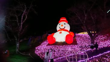 さがみ湖MORI MORIに投稿された画像（2022/11/22）