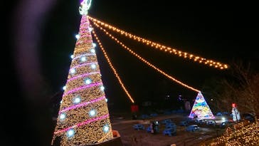 さがみ湖MORI MORIに投稿された画像（2022/11/22）