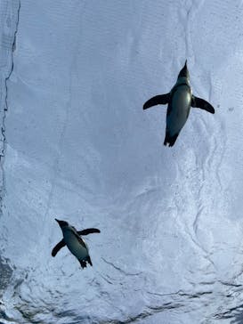 サンシャイン水族館に投稿された画像（2022/11/22）