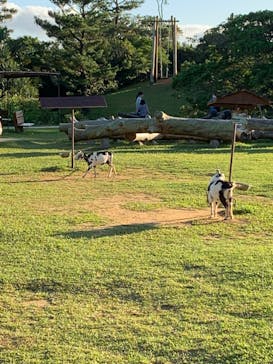 ビオスの丘に投稿された画像（2022/11/22）