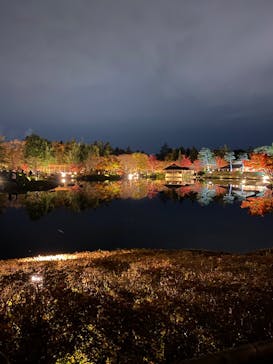 国営昭和記念公園 秋の夜散歩に投稿された画像（2022/11/23）