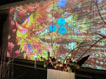NAKED FLOWERS 2022 秋 世界遺産・二条城に投稿された画像（2022/11/23）