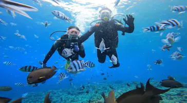 武藤潜水に投稿された画像（2022/11/23）