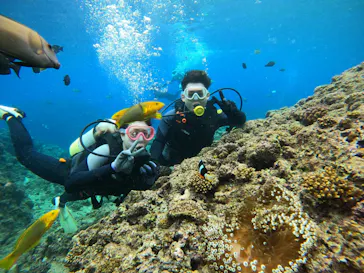 武藤潜水に投稿された画像（2022/11/23）