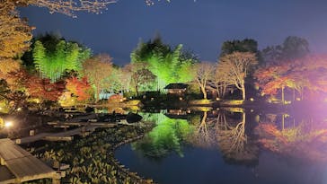 国営昭和記念公園 秋の夜散歩に投稿された画像（2022/11/23）