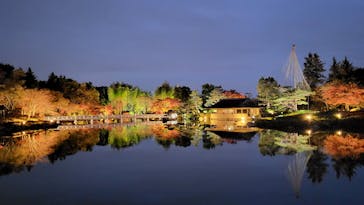 国営昭和記念公園 秋の夜散歩に投稿された画像（2022/11/23）