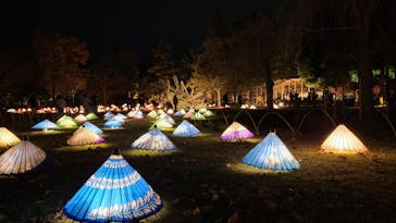 国営昭和記念公園 秋の夜散歩に投稿された画像（2022/11/23）