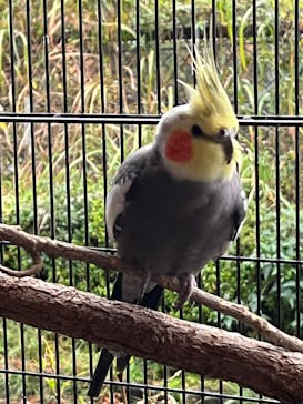 伊豆アニマルキングダムに投稿された画像（2022/11/23）