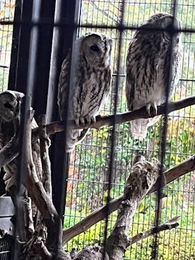 伊豆アニマルキングダムに投稿された画像（2022/11/23）