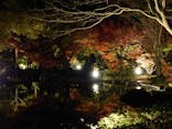 国営昭和記念公園 秋の夜散歩に投稿された画像（2022/11/23）