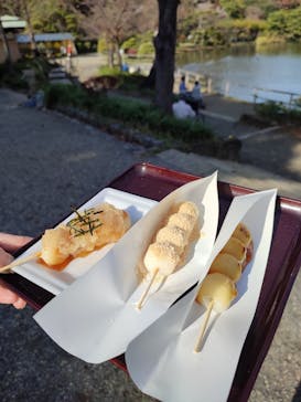 三溪園に投稿された画像（2022/11/23）