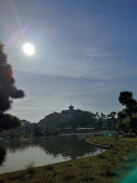 三溪園に投稿された画像（2022/11/23）