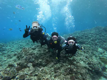 武藤潜水に投稿された画像（2022/11/23）