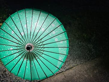 国営昭和記念公園 秋の夜散歩に投稿された画像（2022/11/23）