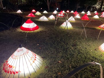 国営昭和記念公園 秋の夜散歩に投稿された画像（2022/11/23）