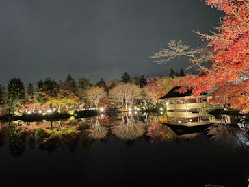 国営昭和記念公園 秋の夜散歩に投稿された画像（2022/11/23）