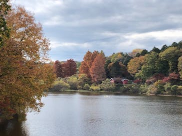 ムーミンバレーパークに投稿された画像（2022/11/23）