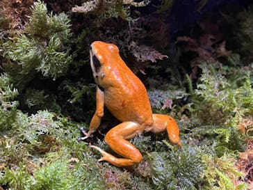 体感型カエル館KawaZooに投稿された画像（2022/11/23）