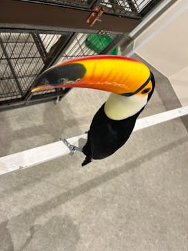 アニタッチみなとみらいに投稿された画像（2022/11/23）