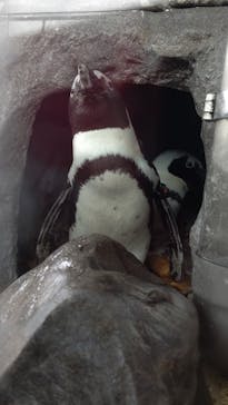 京都水族館に投稿された画像（2022/11/23）