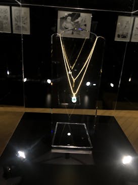 ダイの大冒険展　大阪会場に投稿された画像（2022/11/23）