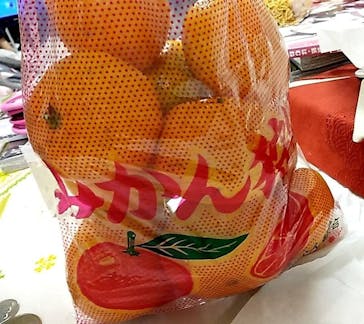 津市観光みかん狩り園に投稿された画像（2022/11/23）