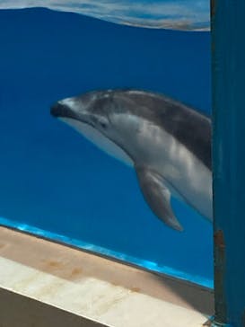 登別マリンパークニクスに投稿された画像（2022/11/23）