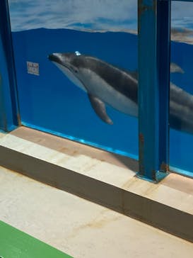 登別マリンパークニクスに投稿された画像（2022/11/23）