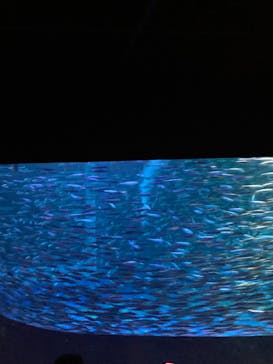 登別マリンパークニクスに投稿された画像（2022/11/23）