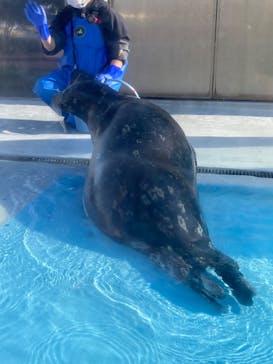 登別マリンパークニクスに投稿された画像（2022/11/23）