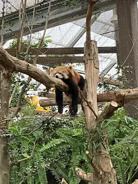 神戸どうぶつ王国に投稿された画像（2022/11/23）