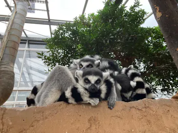 神戸どうぶつ王国に投稿された画像（2022/11/23）