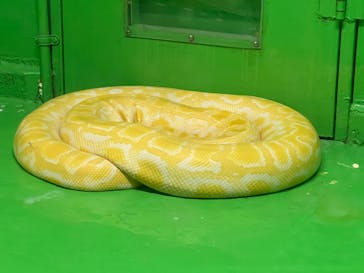 東北サファリパークに投稿された画像（2022/11/23）