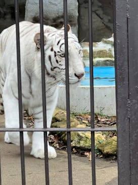 東北サファリパークに投稿された画像（2022/11/23）