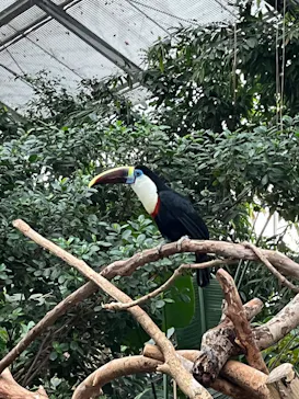 神戸どうぶつ王国に投稿された画像（2022/11/23）