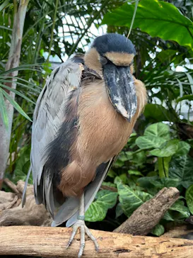 神戸どうぶつ王国に投稿された画像（2022/11/23）