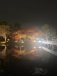 国営昭和記念公園 秋の夜散歩に投稿された画像（2022/11/23）