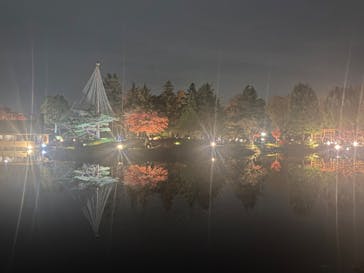 国営昭和記念公園 秋の夜散歩に投稿された画像（2022/11/23）
