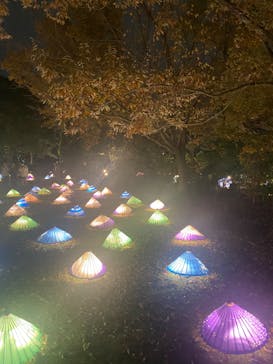 国営昭和記念公園 秋の夜散歩に投稿された画像（2022/11/23）